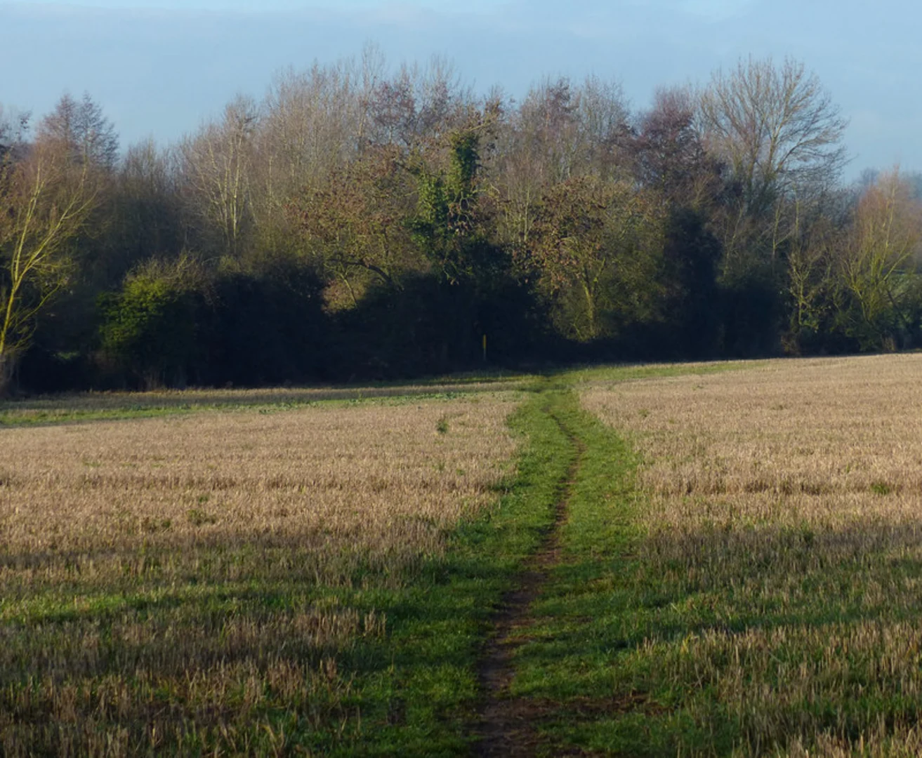 An image depicting the trail Fosse Meadows Country Park Loop and its surrounding area.