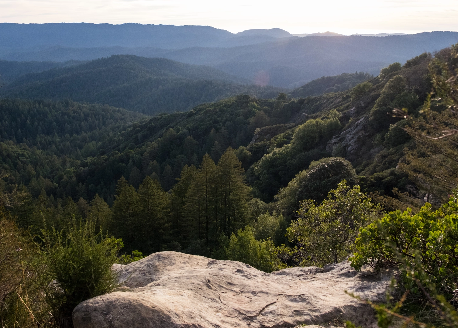An image depicting the trail Castle Rock Loop and its surrounding area.
