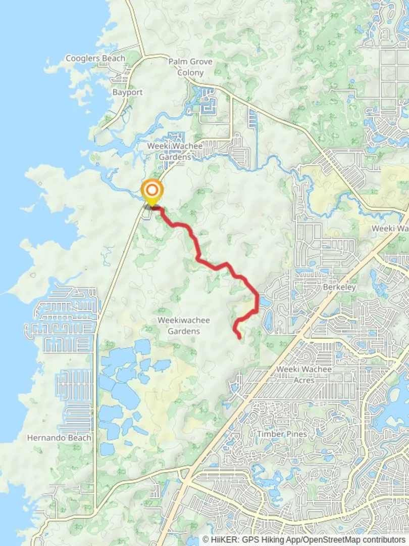 An image depicting the trail Weeki Wachee Swamps Walk and its surrounding area.