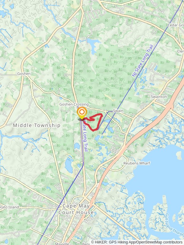 NJ State Long Trail and Lizard Tail Swamp Yellow Trail Loop