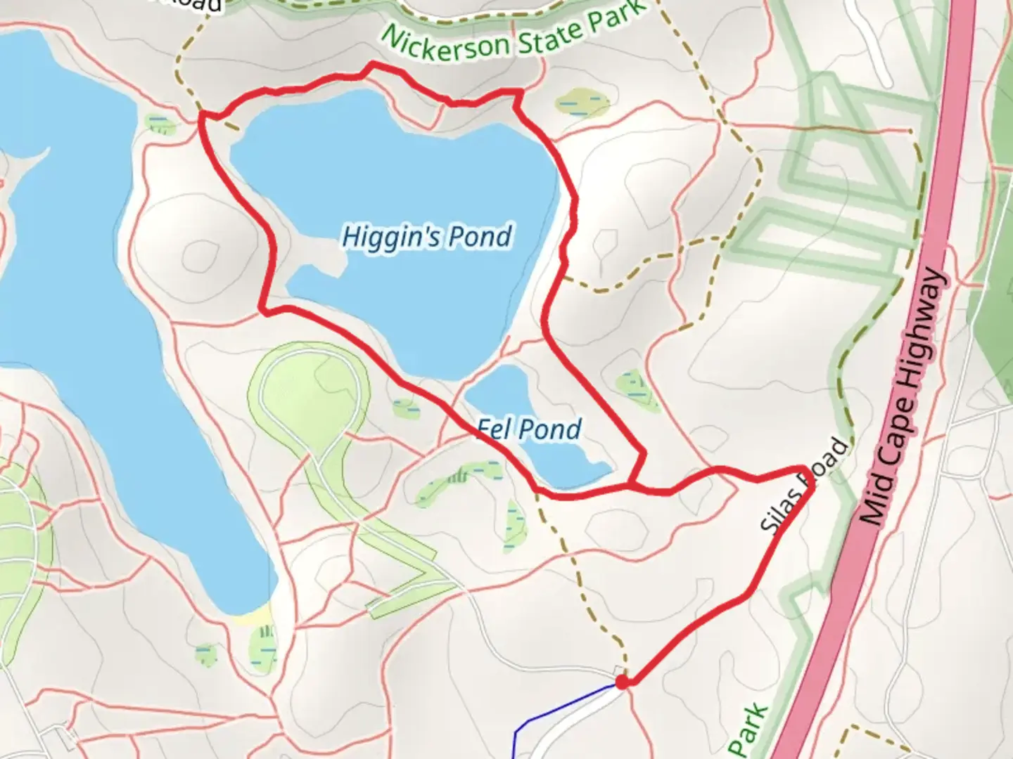 An image depicting the trail Higgins Pond and Eel Pond Loop Trail and its surrounding area.