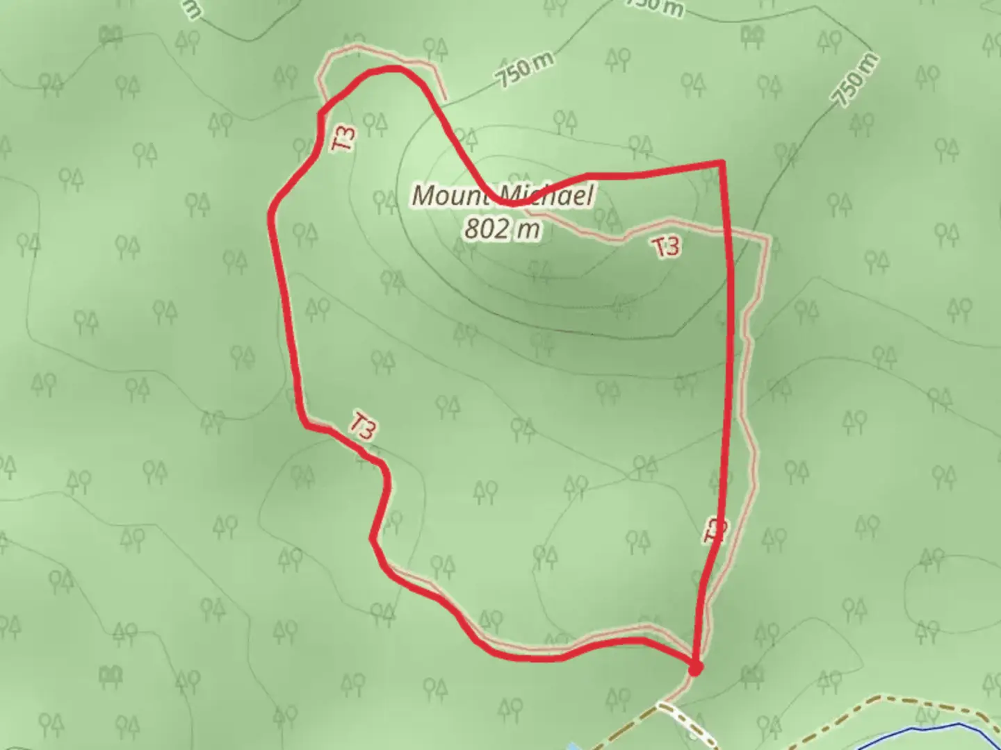 An image depicting the trail Mount Michael Track and its surrounding area.