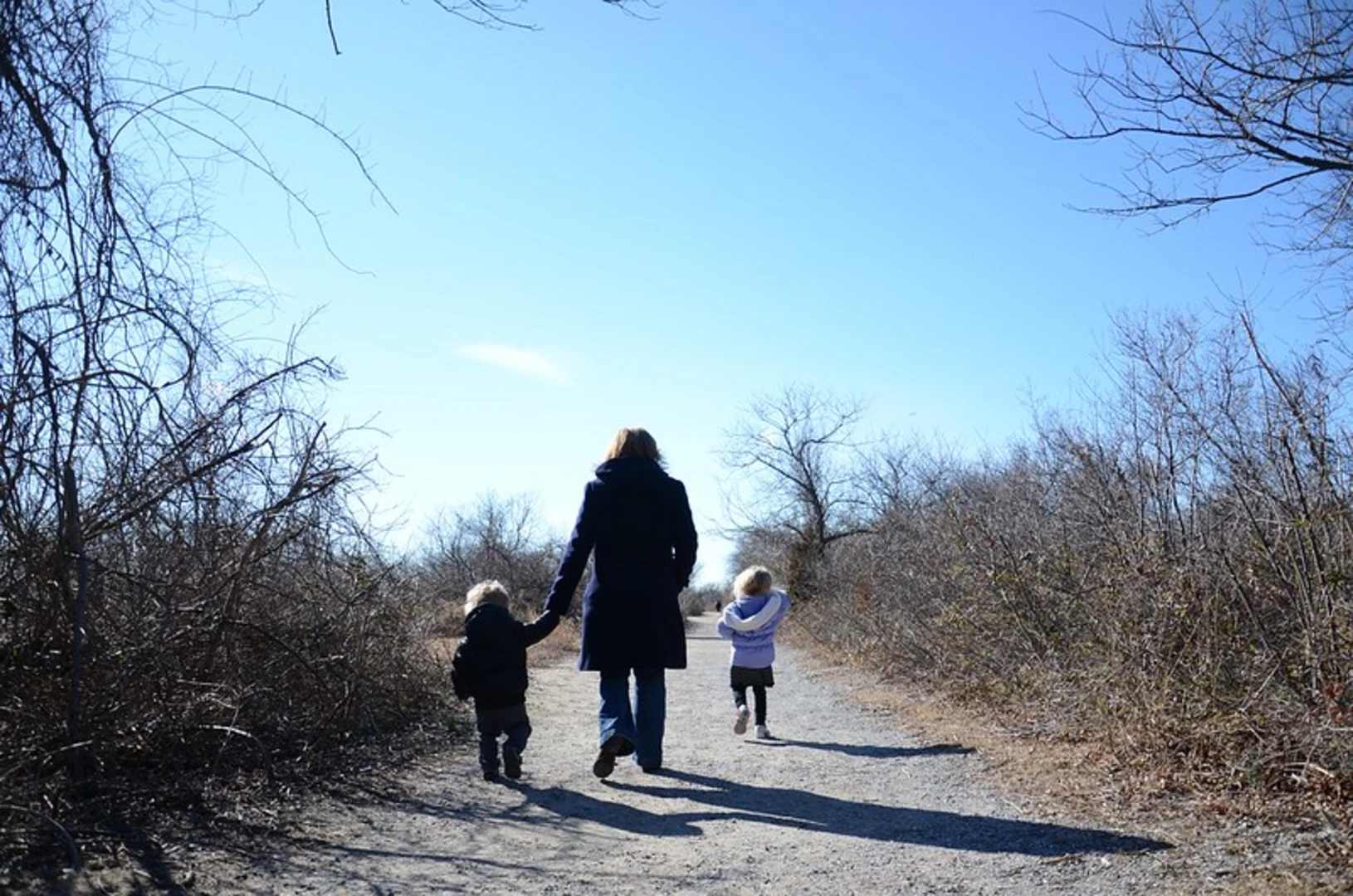 An image depicting the trail Jamaica Bay - West Pond Loop Trail and its surrounding area.