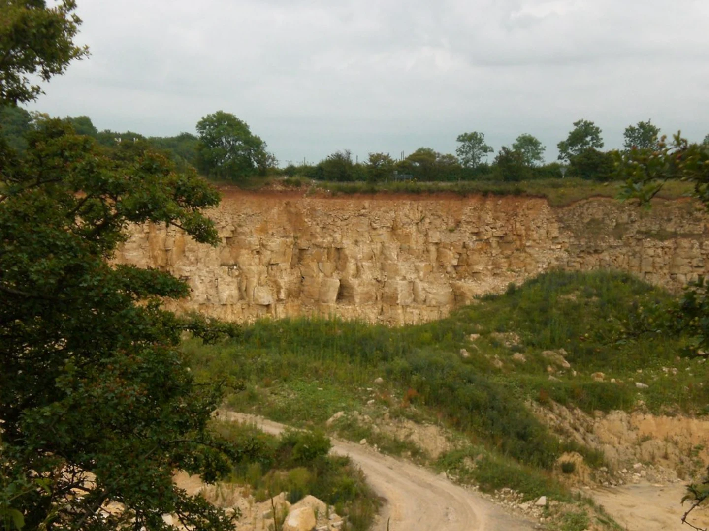 An image depicting the trail Edward's Plantation Loop and its surrounding area.