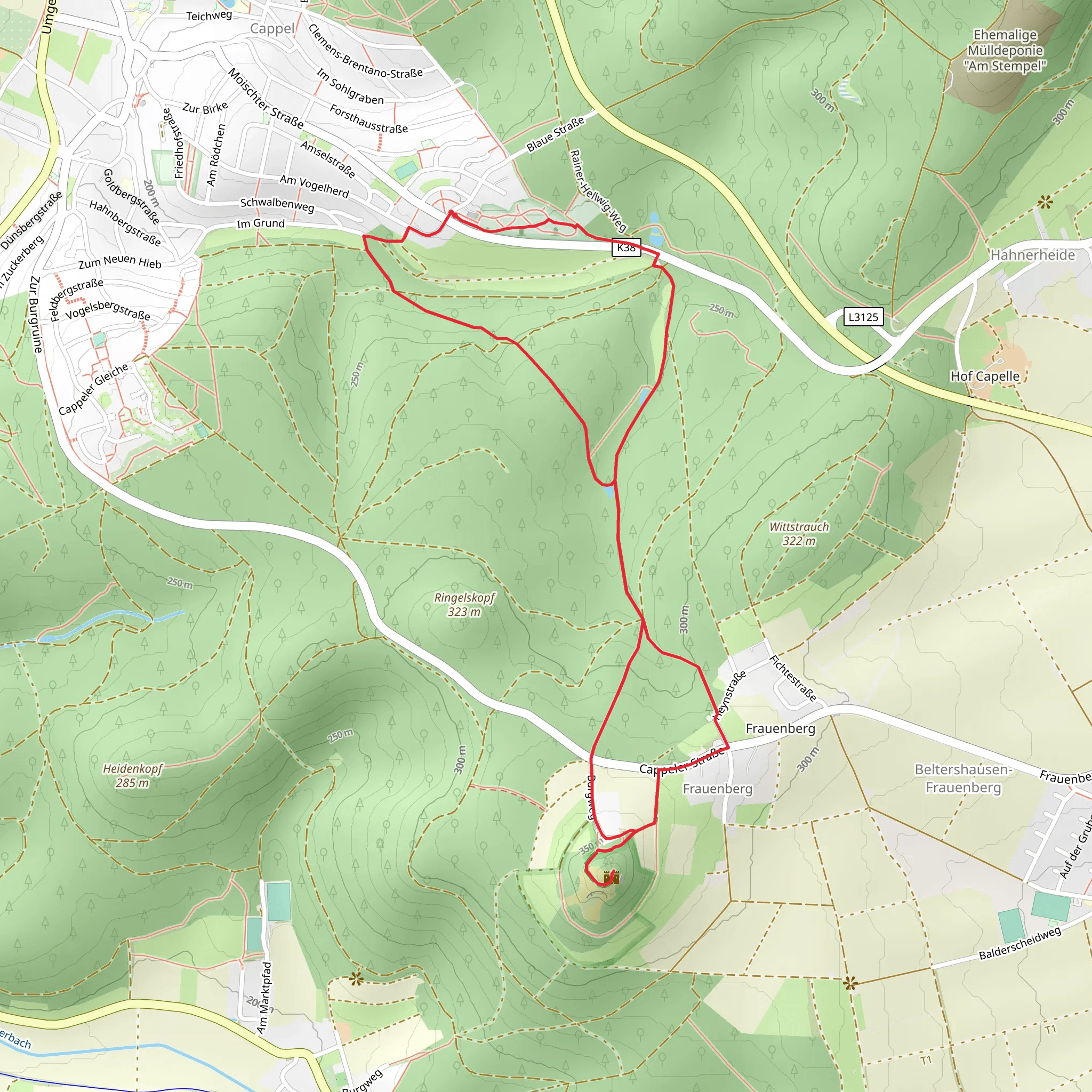 Frauenberg via Marburger Weg and Ebsdorfergrund Rundwanderweg mobile static map