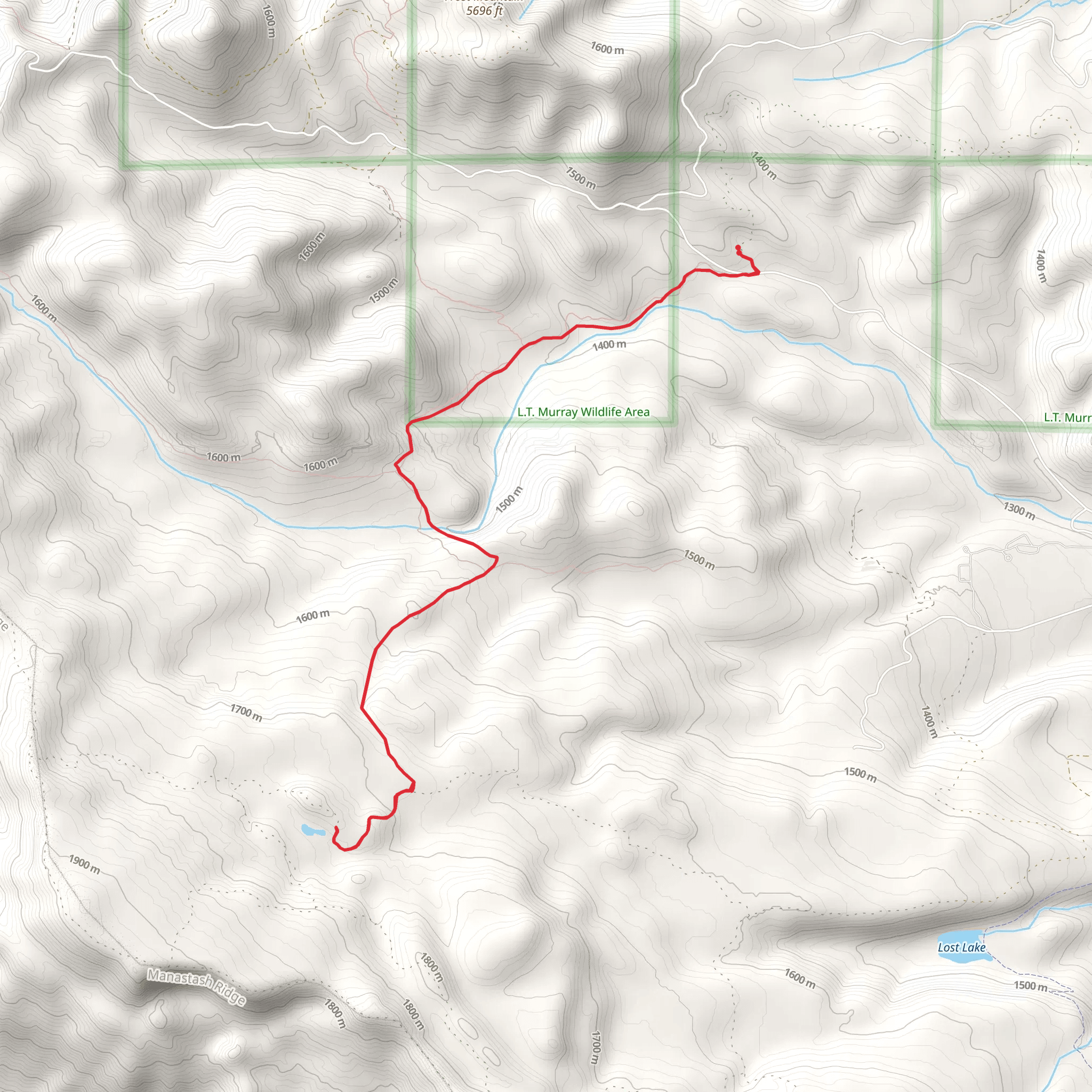 Shoestring Lake Trail mobile static map