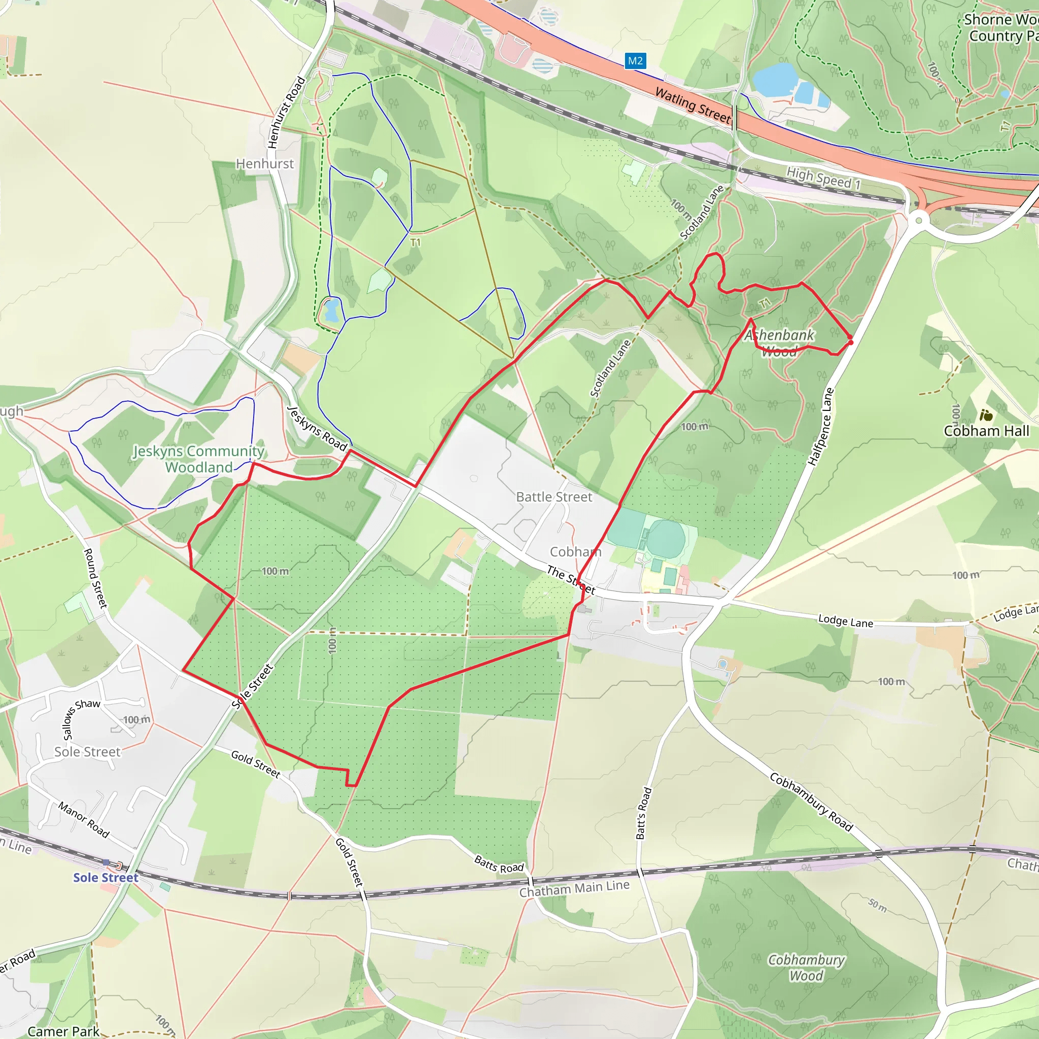 Ashenbank Wood and Cobham Loop mobile static map