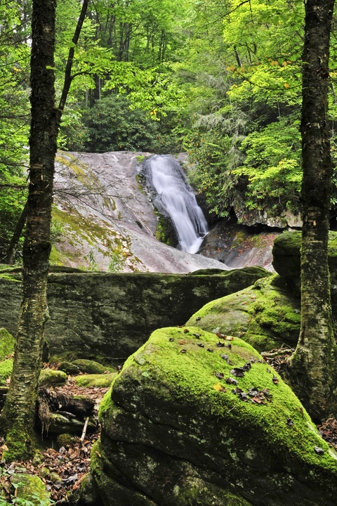 An image depicting the trail North Harper Shortcut Trail and its surrounding area.