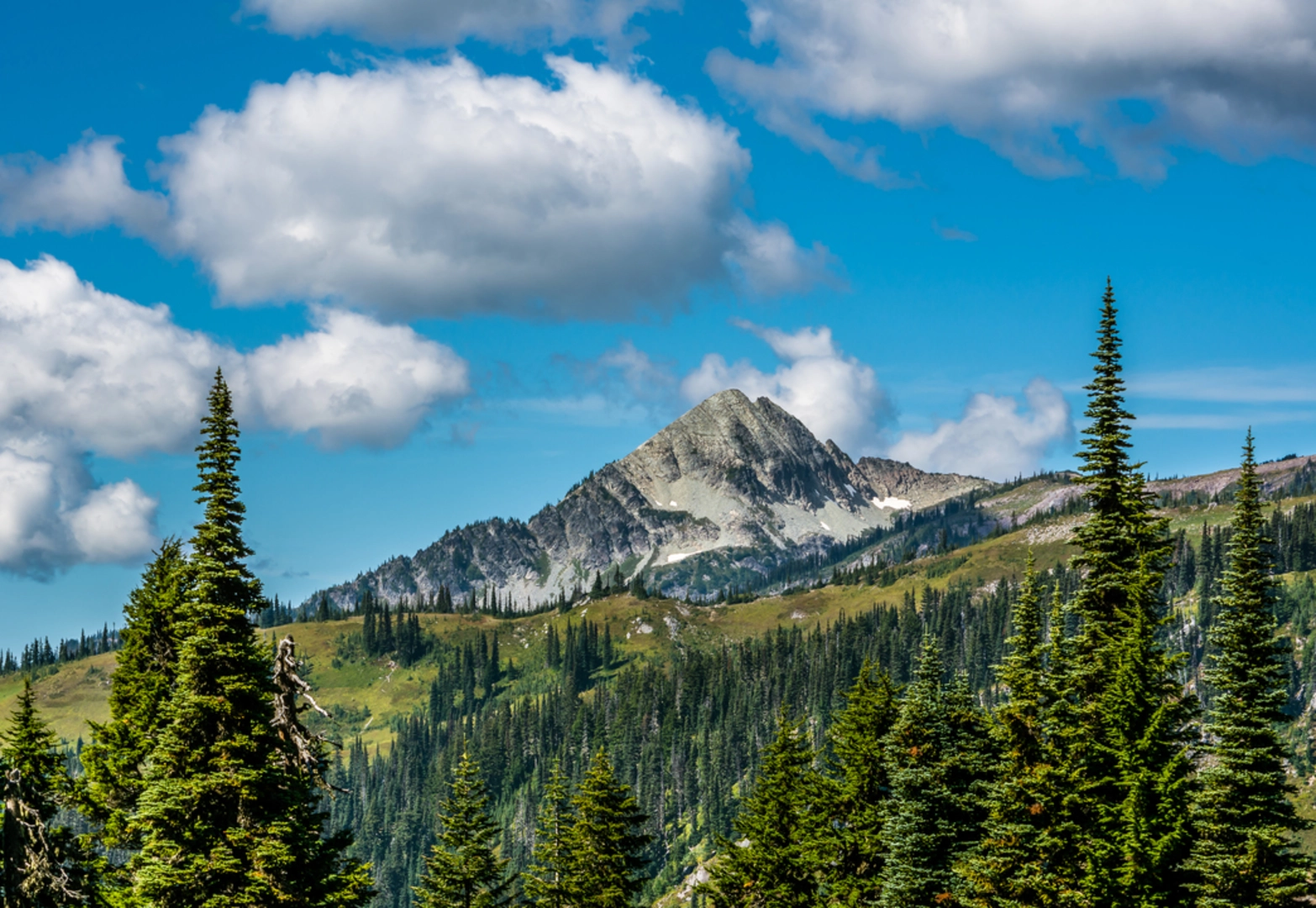 An image depicting the trail Kautz to Longmire via Indian Henry's Hunting Ground Horseshoe Trail and its surrounding area.
