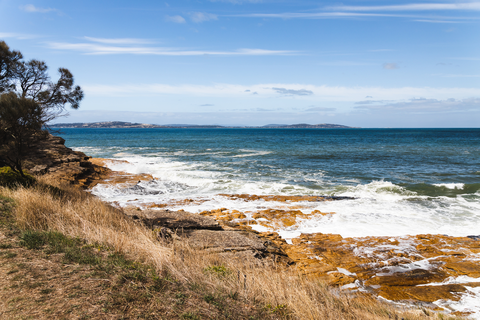 Suncoast Headlands Track