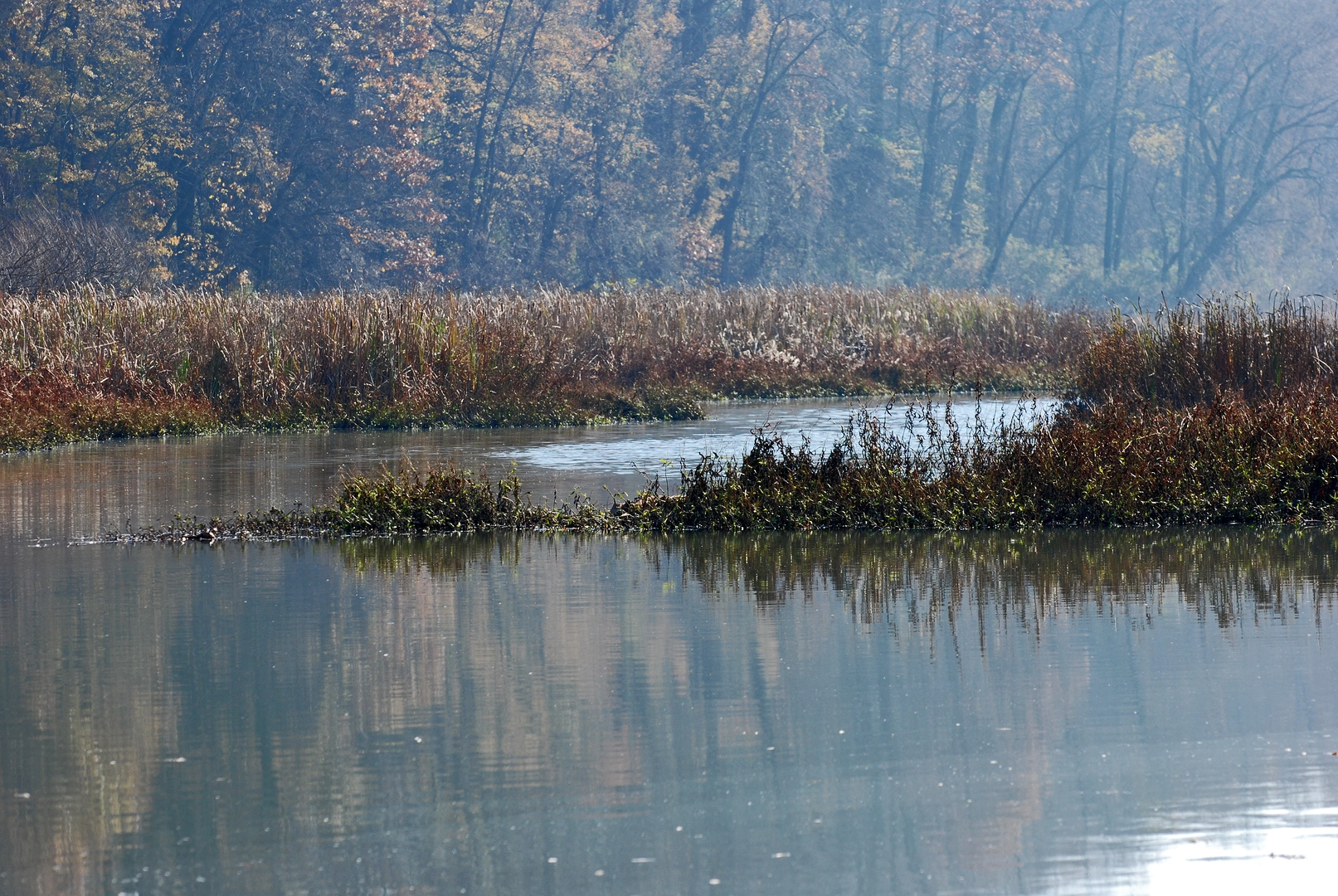 An image depicting the trail Wildwood Lake Loop Trail and its surrounding area.
