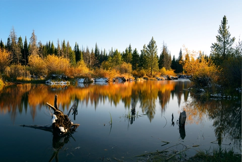 An image depicting the trail Chainsaw Trail and its surrounding area.