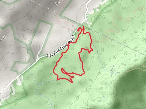 Hotel and Midway Cruise Loop