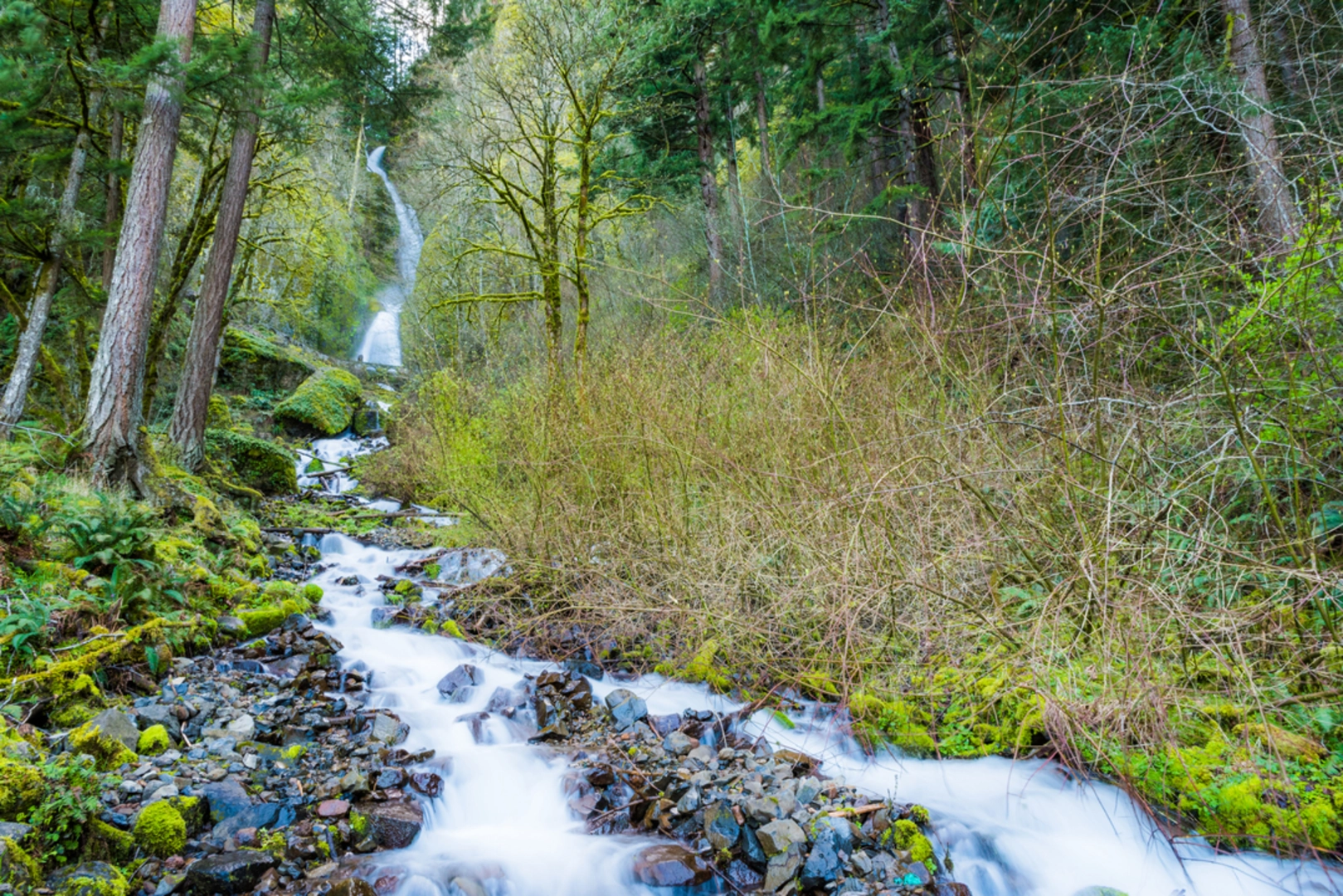 An image depicting the trail Angel's Rest Trail and its surrounding area.