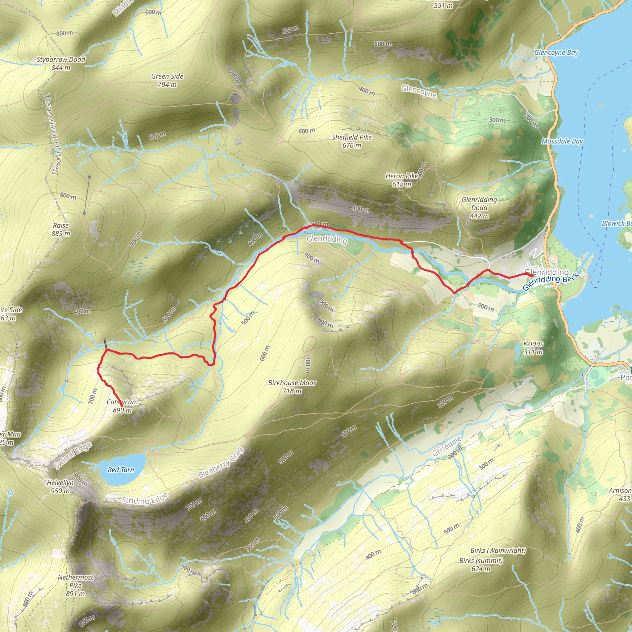 Catstye Cam mobile static map