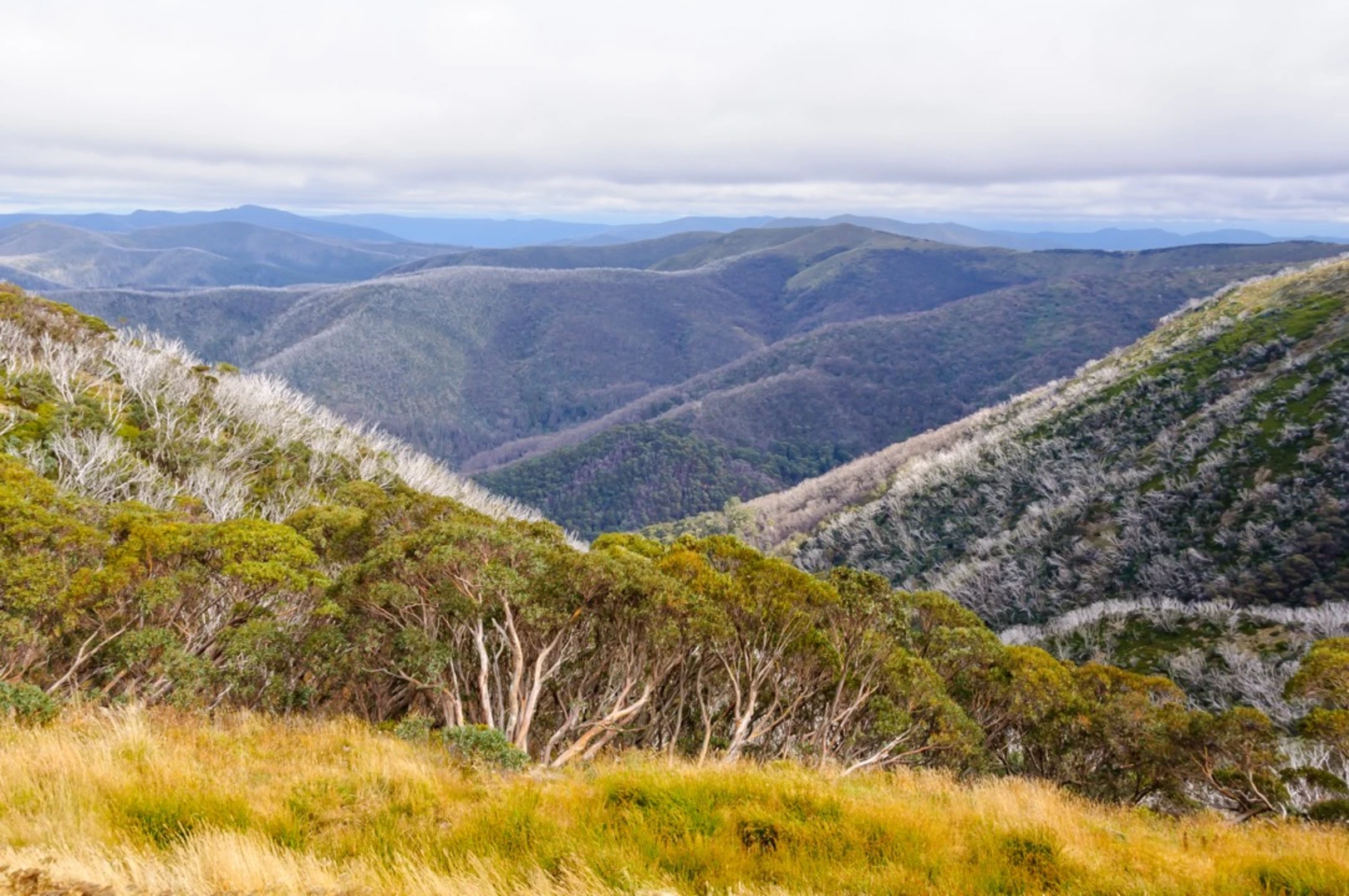 An image depicting the trail Australian Alps Walking Track and its surrounding area.