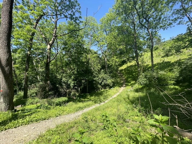 Mill Hill Loop via Turkey Ridge and Brian's Trail