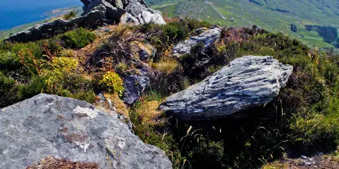 An image depicting the trail Peakeen Ridge Loop and its surrounding area.