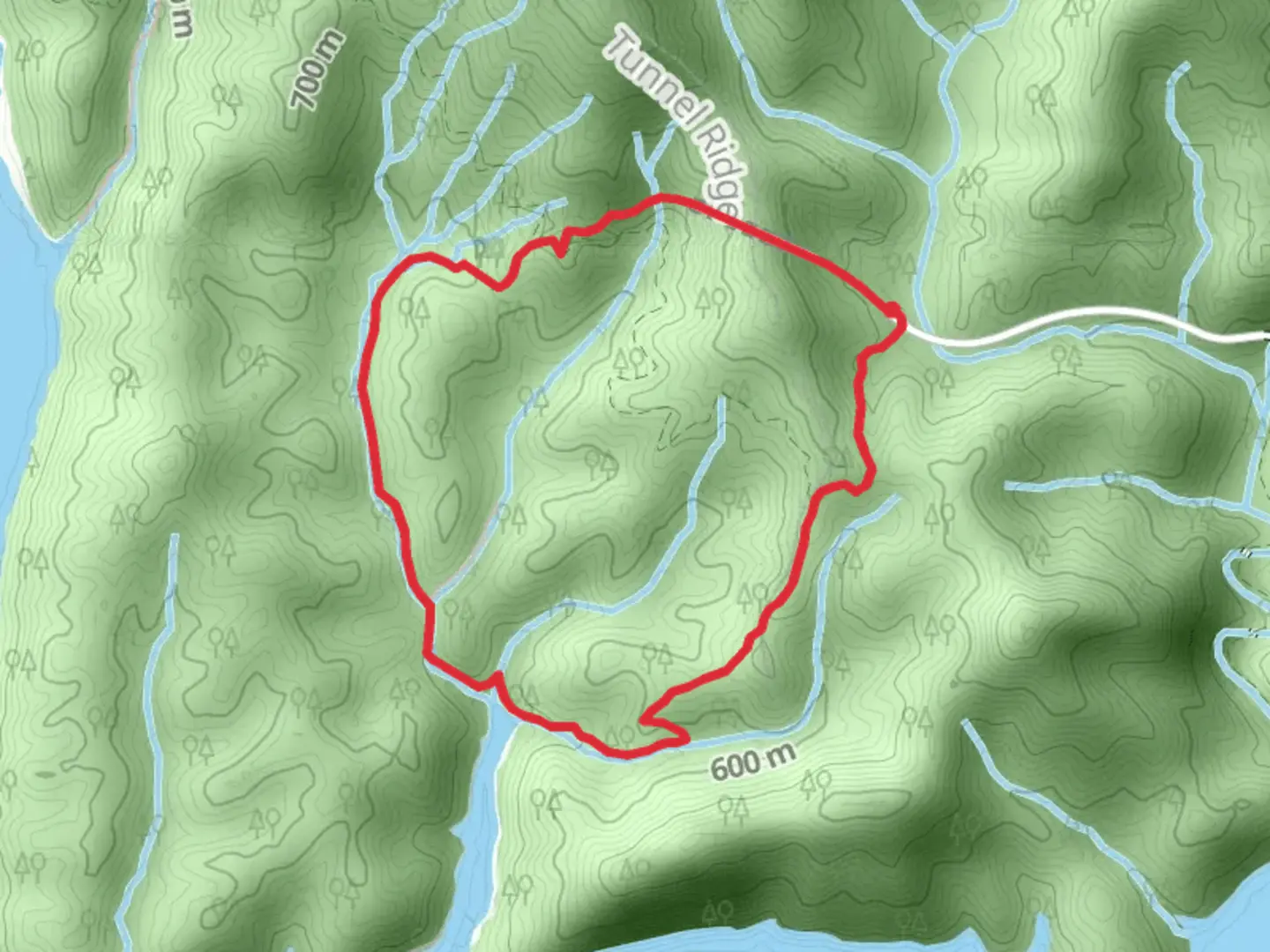 An image depicting the trail Lakeshore Trailhead Eastside Loop and its surrounding area.