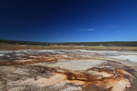 An image depicting the trail Sentinel Meadows Trail and its surrounding area.