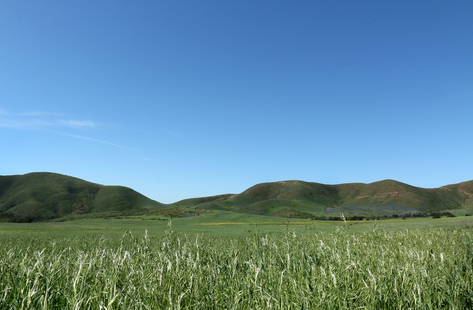An image depicting the trail Big Sycamore Canyon Creek and Backbone Trail Loop and its surrounding area.