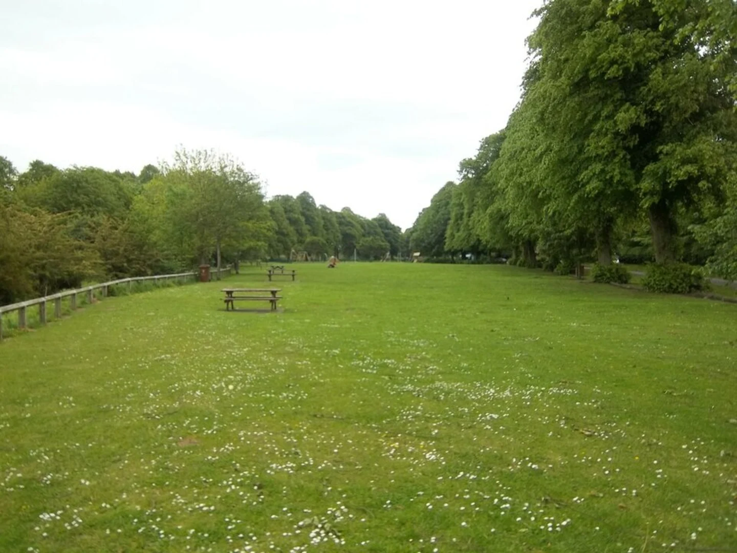 An image depicting the trail Tyne Green Country Park and its surrounding area.