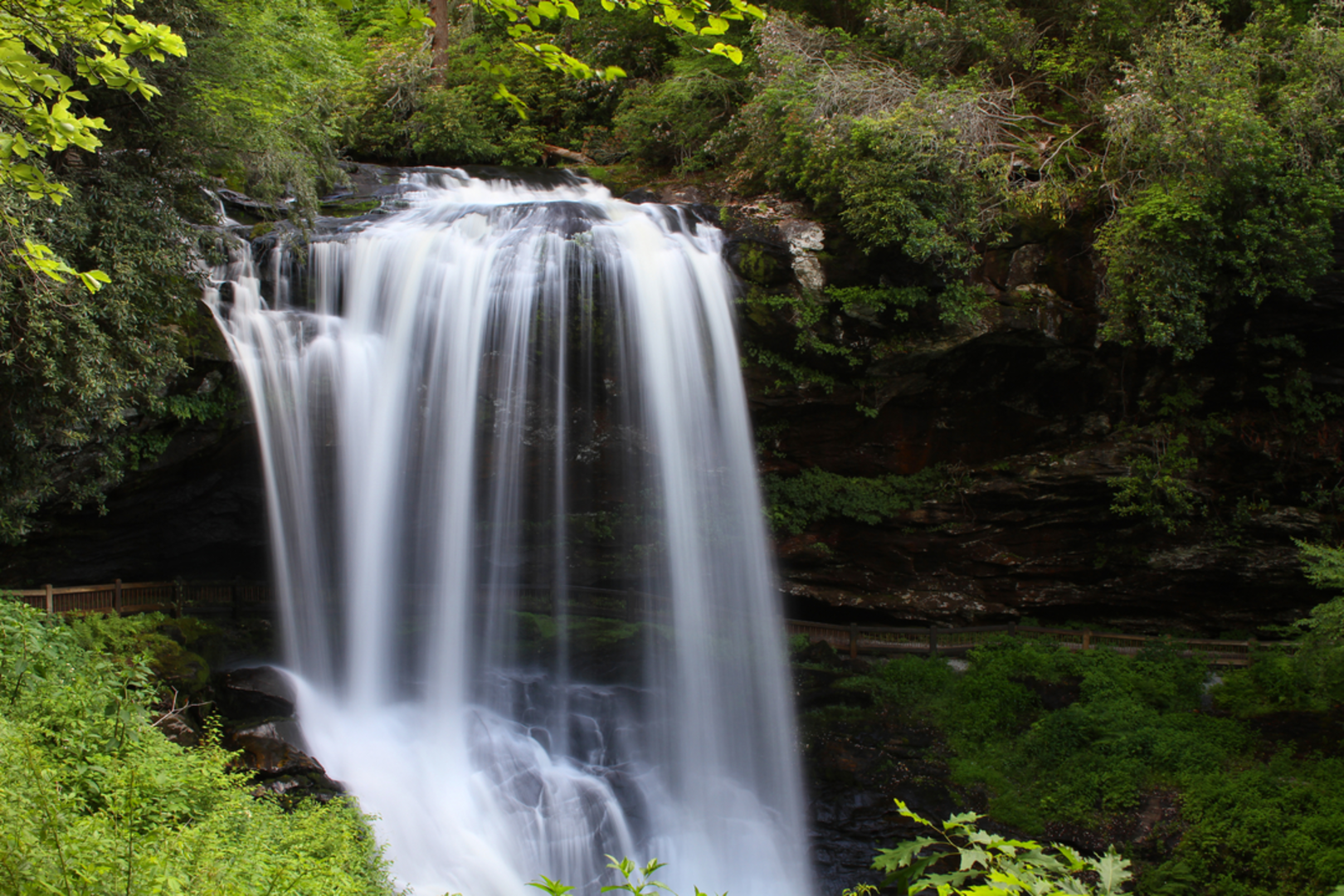 An image depicting the trail Dry Falls Trail and its surrounding area.