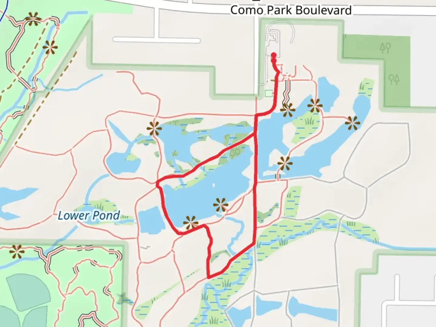An image depicting the trail Flattail Lake Loop Trail via Lily Pond and its surrounding area.