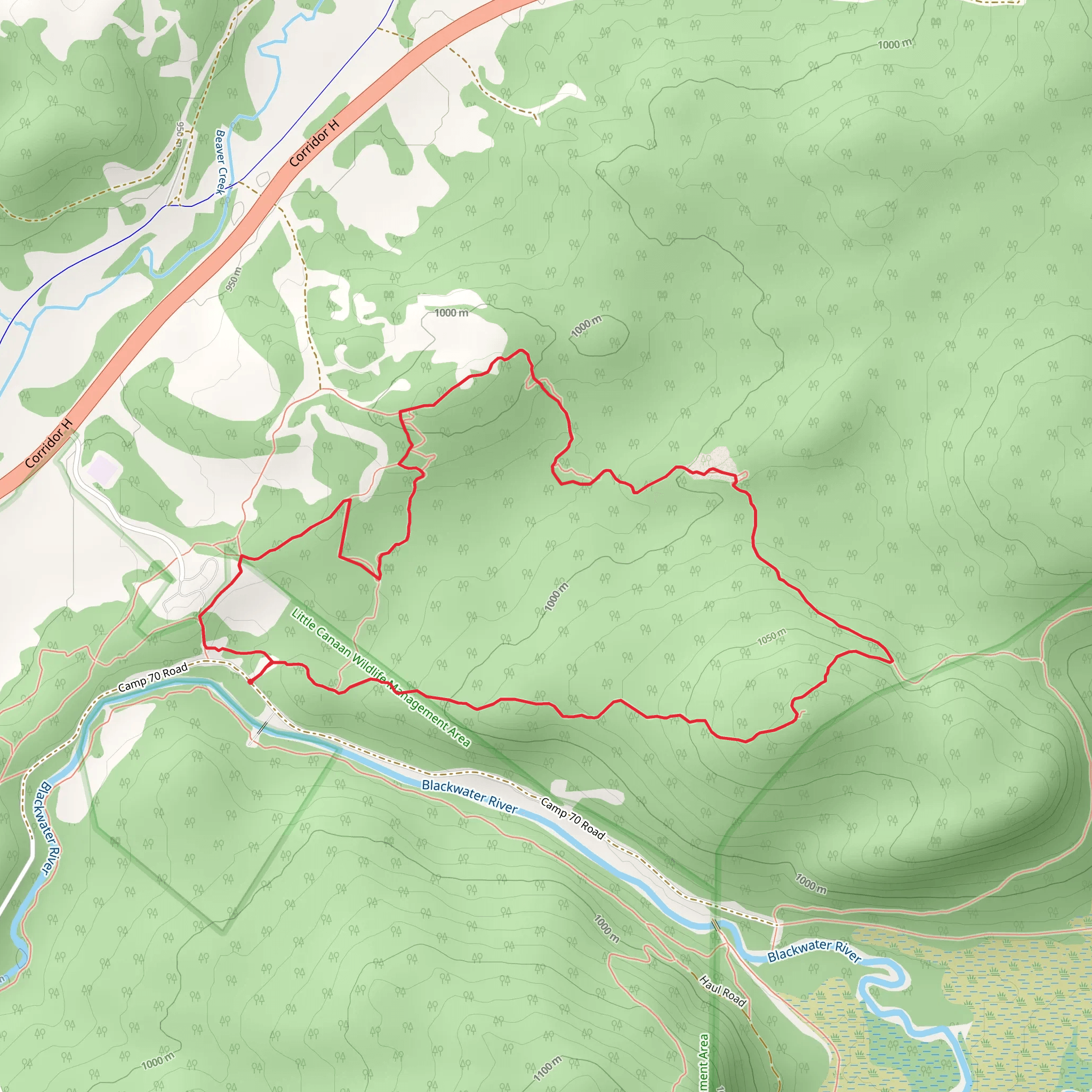 HooDoo Rocks Trail and Moon Rocks Loop Trail mobile static map