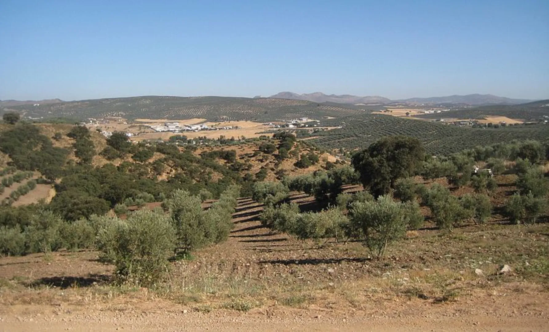 An image depicting the trail Sierra Gorda PR A 394 and its surrounding area.