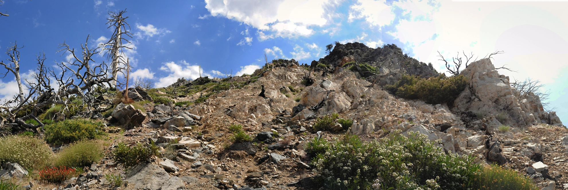 An image depicting the trail High Desert Trail, Pacific Crest Trail and Acorn Trail and its surrounding area.