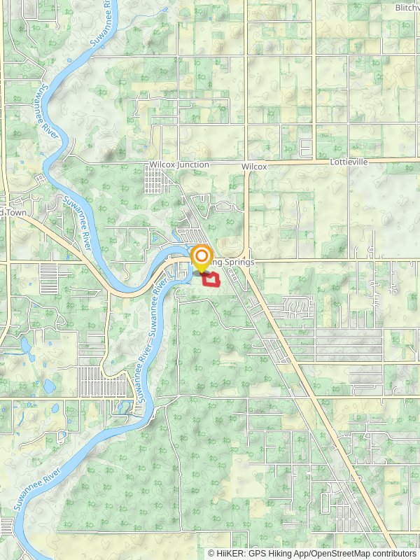 Palmetto Path Hiking Loop Trail in Fanning Springs State Park