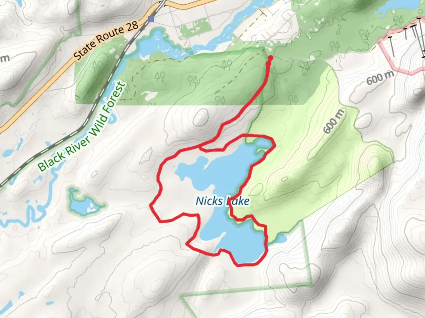 An image depicting the trail Nicks Lake from Bisby Road and its surrounding area.