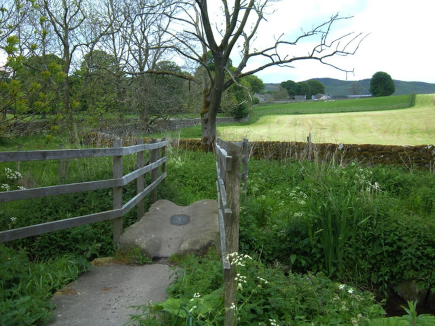 An image depicting the trail Calton Gill Wood and High Wood Loop and its surrounding area.