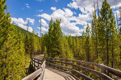 An image depicting the trail Artists Paintpots Trail and its surrounding area.