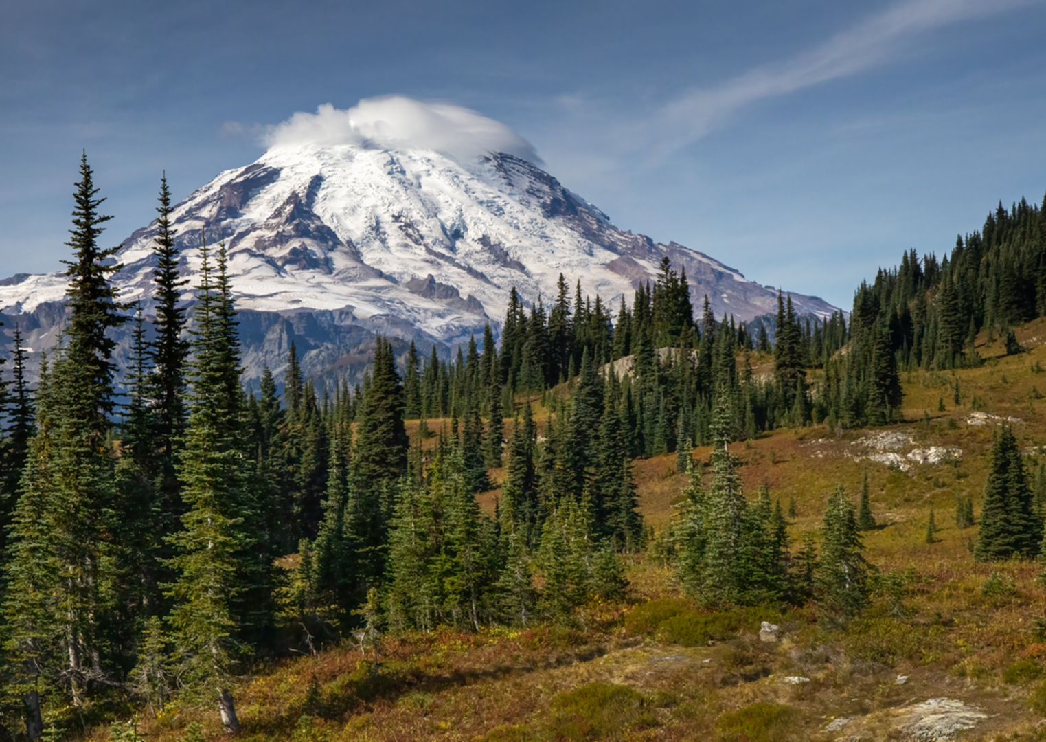 An image depicting the trail Naches Peak Loop Trail and its surrounding area.