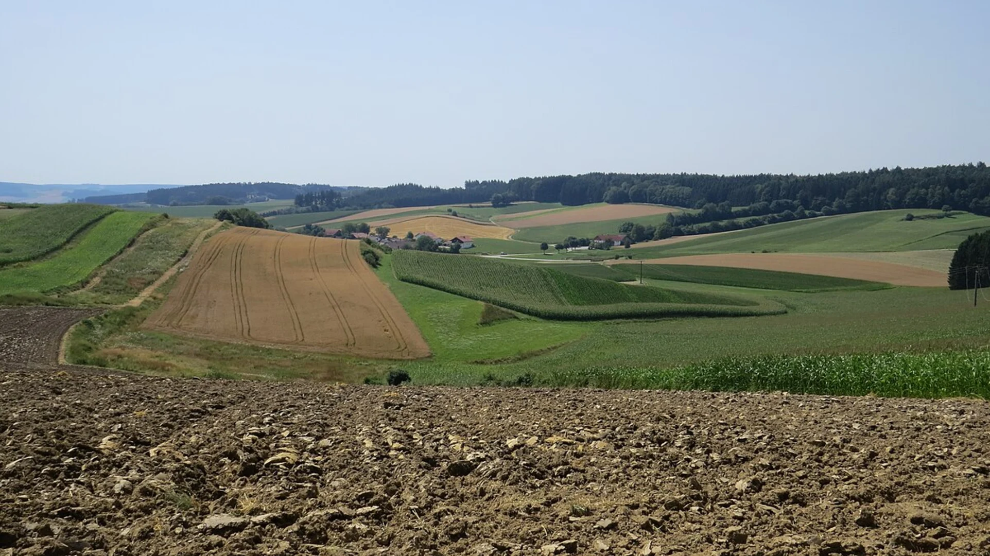 An image depicting the trail Forsthaus Bimbach Loop via Am Hädenberg and its surrounding area.