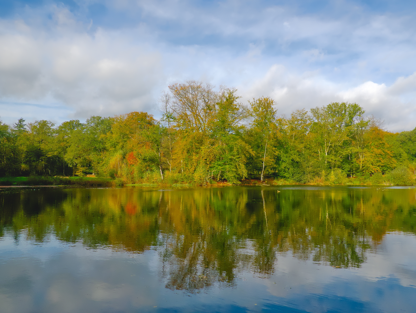 An image depicting the trail Uitzichttoren and De Bronnen via Mosbeekweg and its surrounding area.