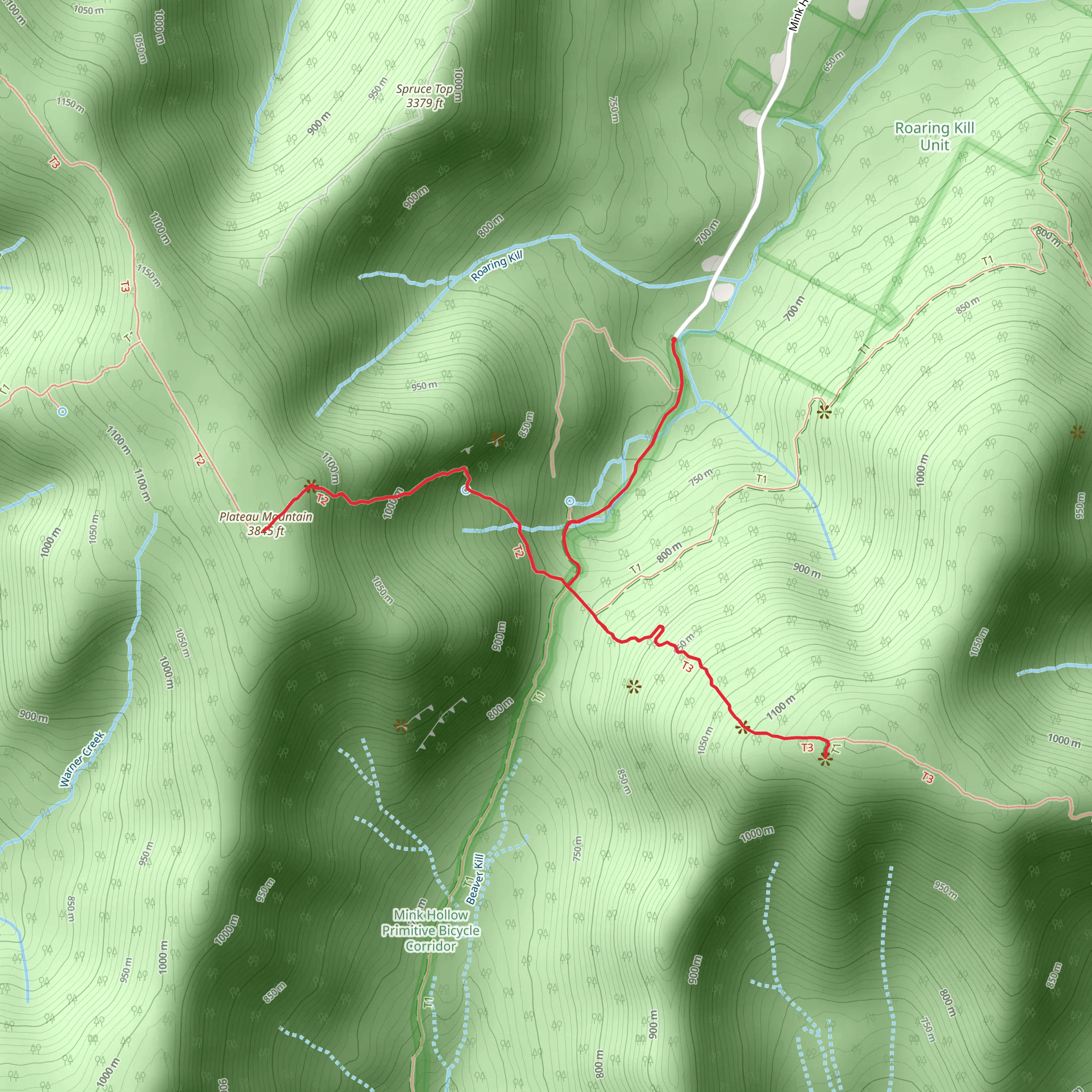 Plateau Mountain and Devil's Path Trail mobile static map