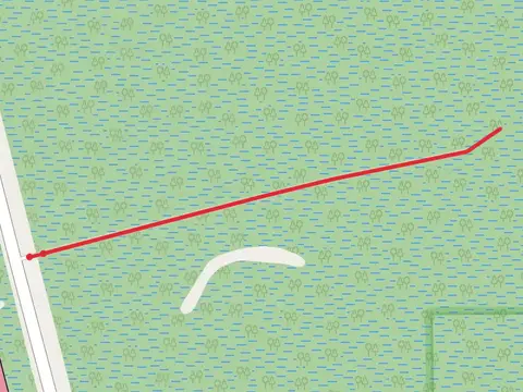 Maurepas Swamp Wildlife Management Area Nature Trail