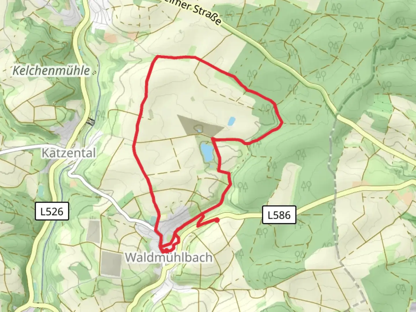 An image depicting the trail Waldmühlbach Loop and its surrounding area.