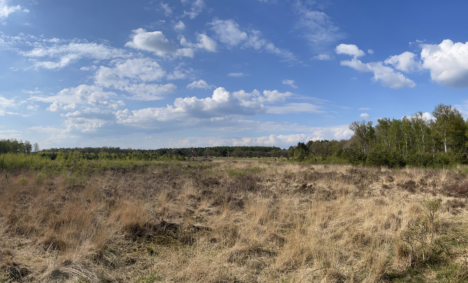 An image depicting the trail Hettenheuvel via Molen Weg and its surrounding area.