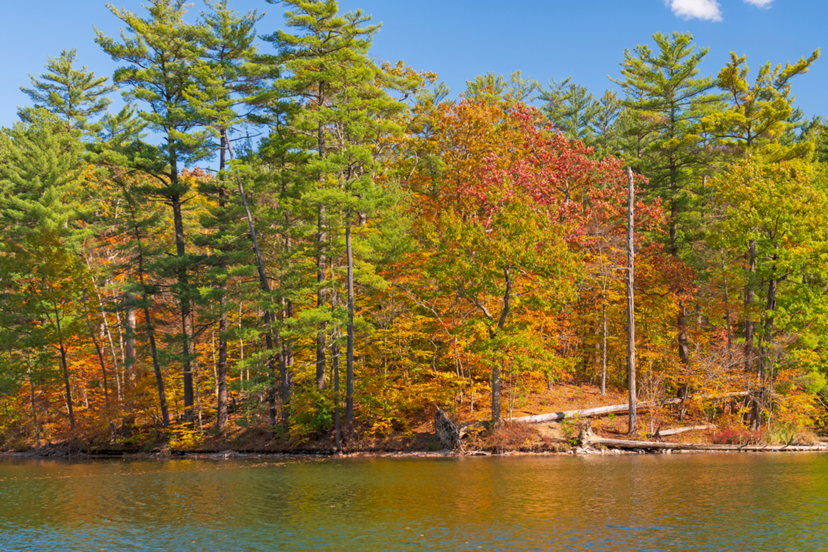 An image depicting the trail Chenango Lake - Chenango Valley State Park and its surrounding area.