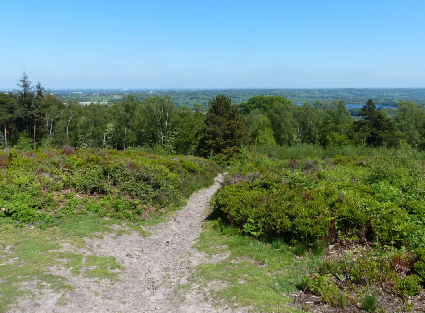 An image depicting the trail Lickey Hills Country Park Circular Walk and its surrounding area.