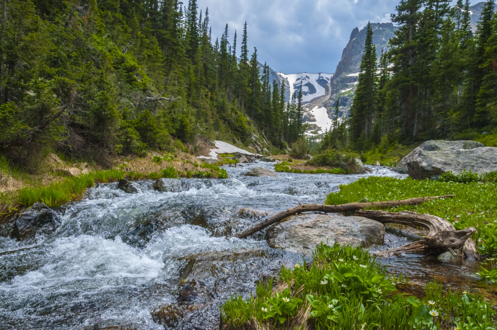 An image depicting the trail Cub Lake via Mill Creek Trail and its surrounding area.
