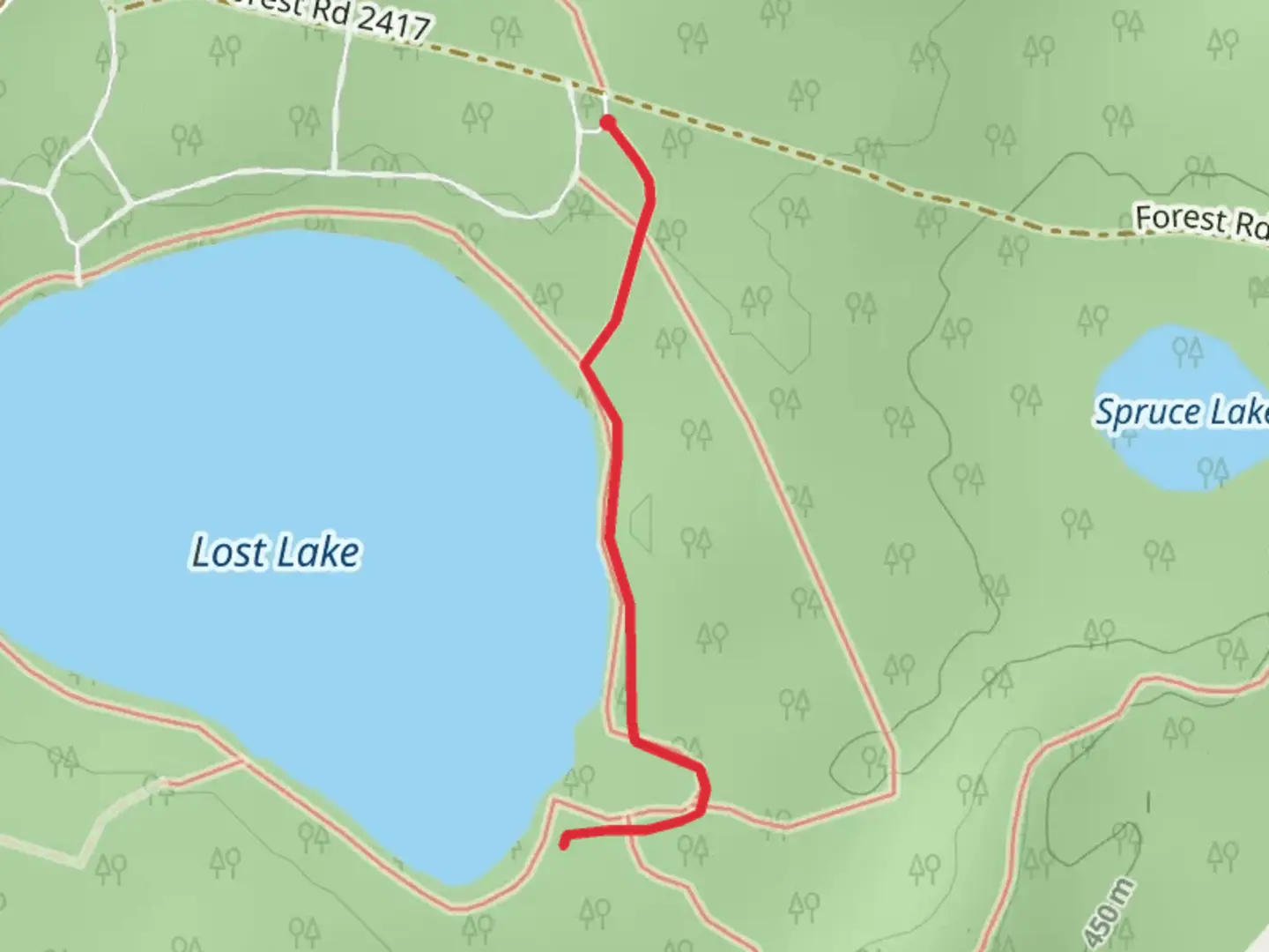 An image depicting the trail Lost Lake Short Trail and its surrounding area.