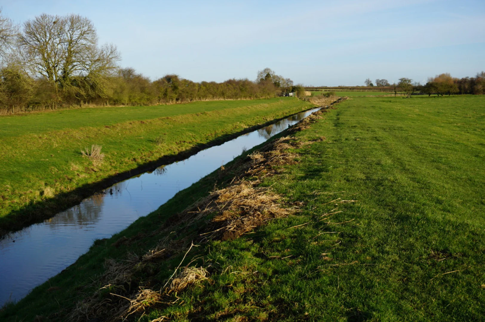 An image depicting the trail Louth Canal and its surrounding area.