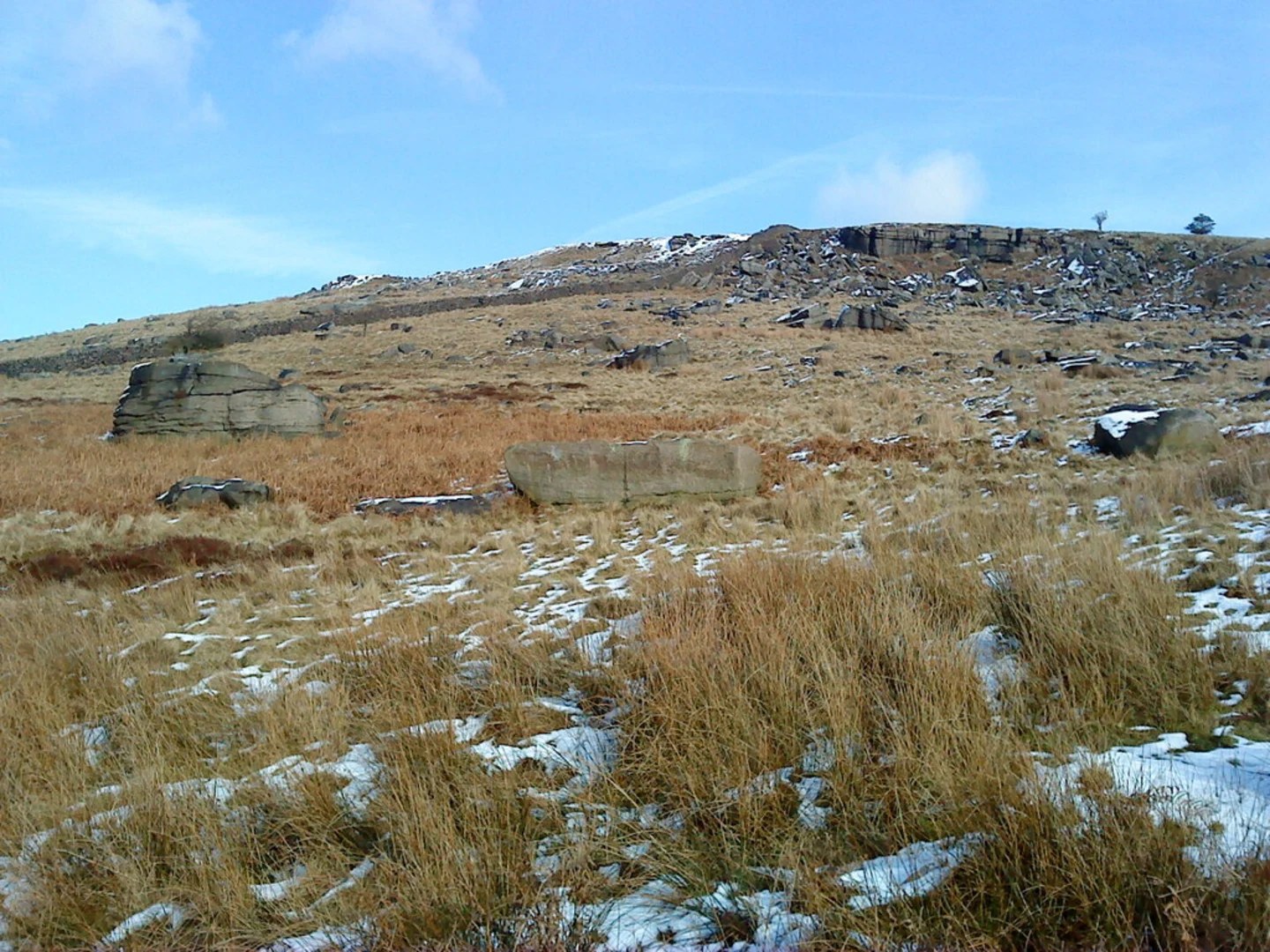 An image depicting the trail White Crag Plantation Loop and its surrounding area.