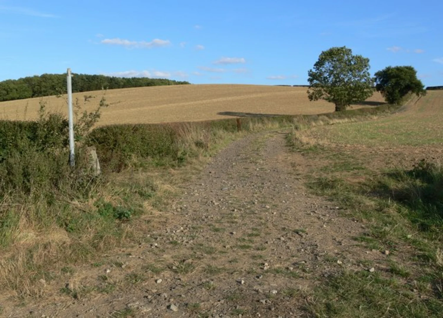 An image depicting the trail Nevill Holt and Medbourne Loop and its surrounding area.