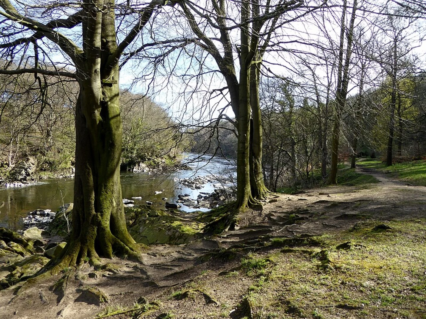 An image depicting the trail Dinkley Circular Walk and its surrounding area.
